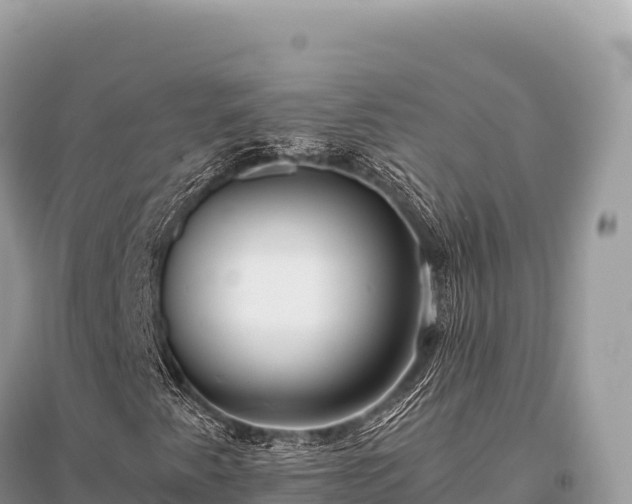 X0000096181345200801251206