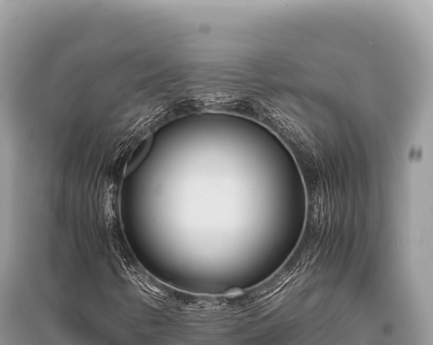 X0000096181346200801251206