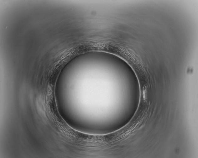 X0000096181347200801251206
