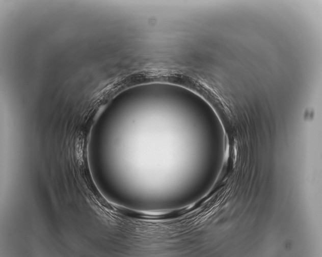 X0000096181348200801251206
