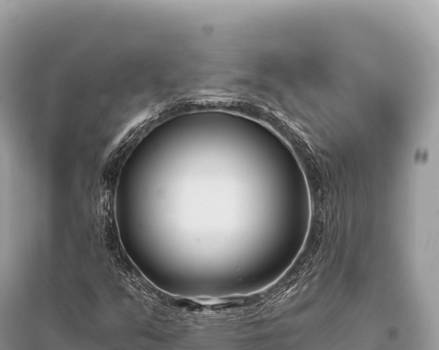 X0000096181351200801251206