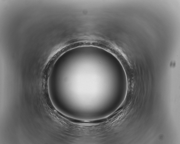 X0000096181352200801251206