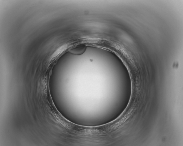 X0000096181354200801251206