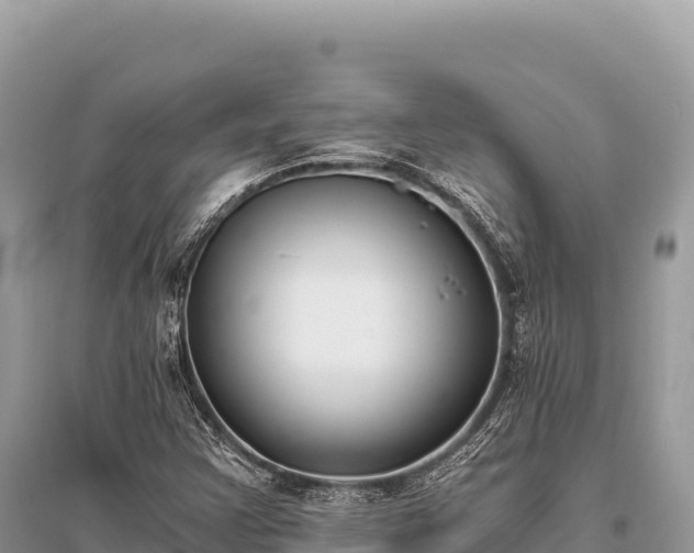 X0000096181355200801251206