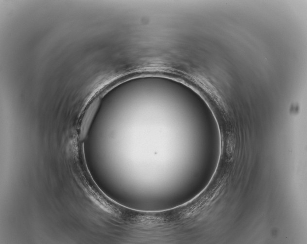 X0000096181356200801251206