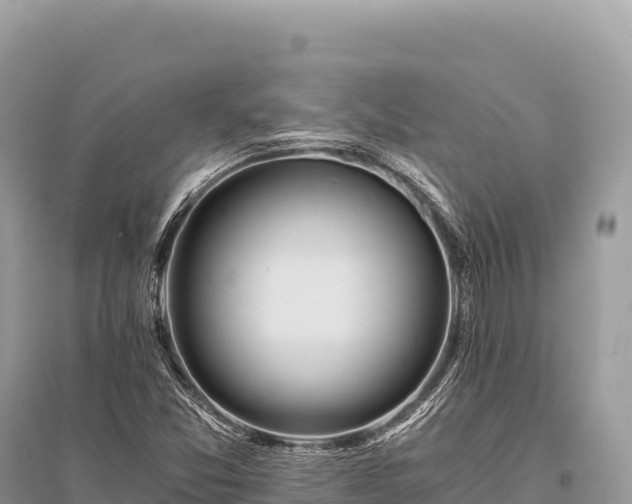 X0000096181357200801251206
