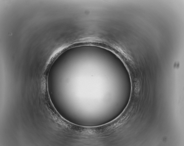 X0000096181358200801251206