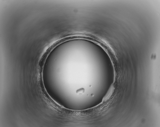 X0000096181360200801251206