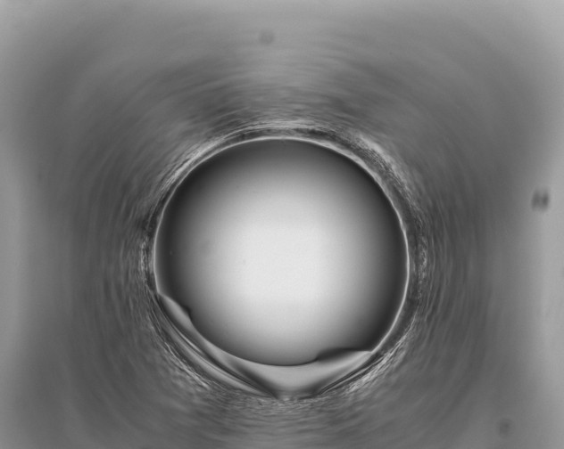 X0000096181361200801251206
