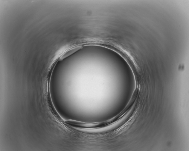 X0000096181365200801251206