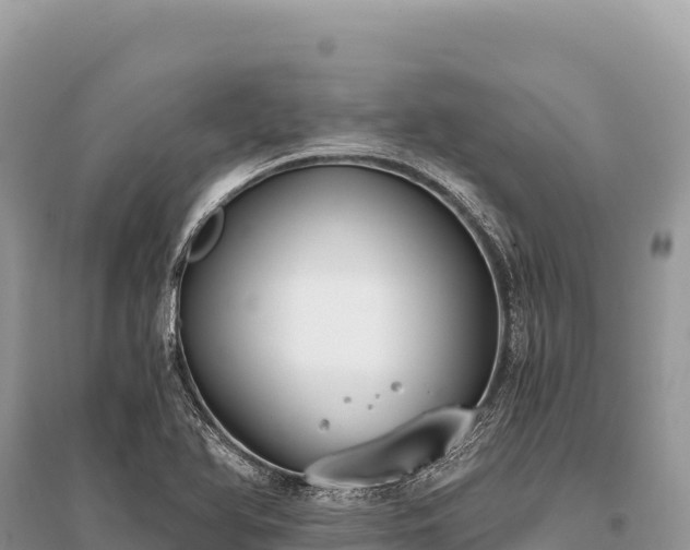 X0000096181366200801251205