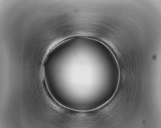 X0000096181371200801251205
