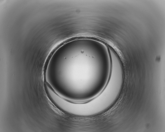 X0000096181372200801251205