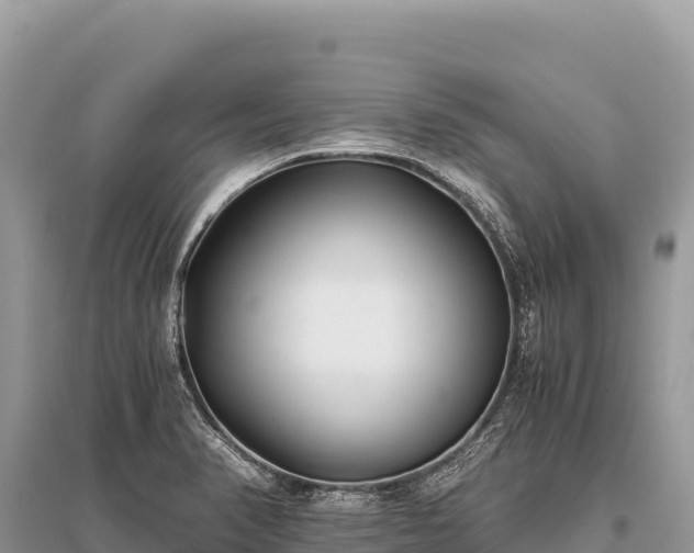 X0000096181374200801251205