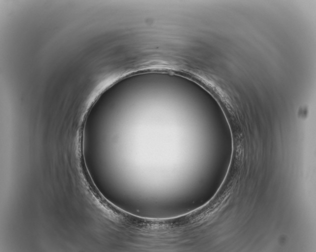 X0000096181375200801251205
