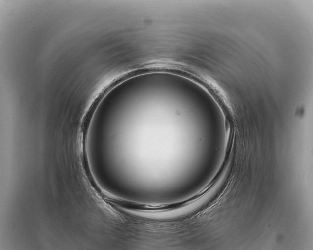 X0000096181376200801251205