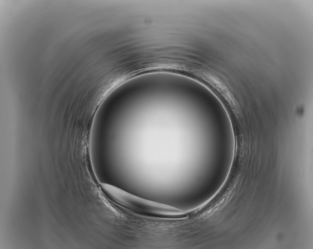 X0000096181377200801251205