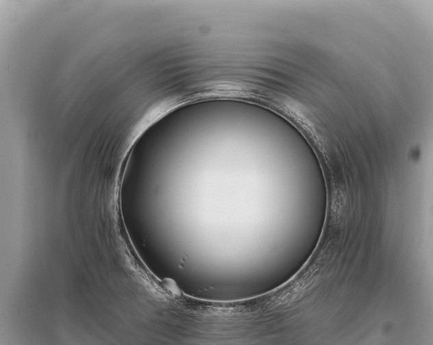 X0000096181378200801251205