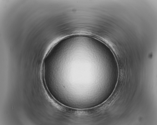 X0000096181379200801251205