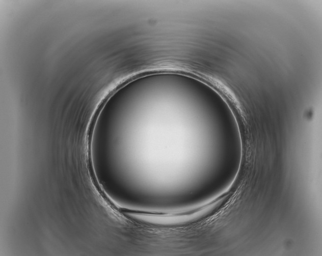 X0000096181380200801251205