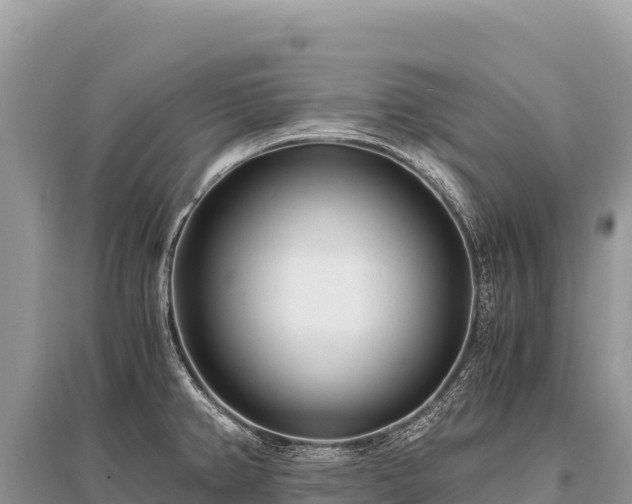 X0000096181382200801251205