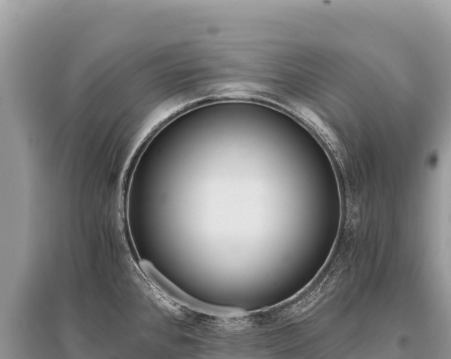 X0000096181384200801251205