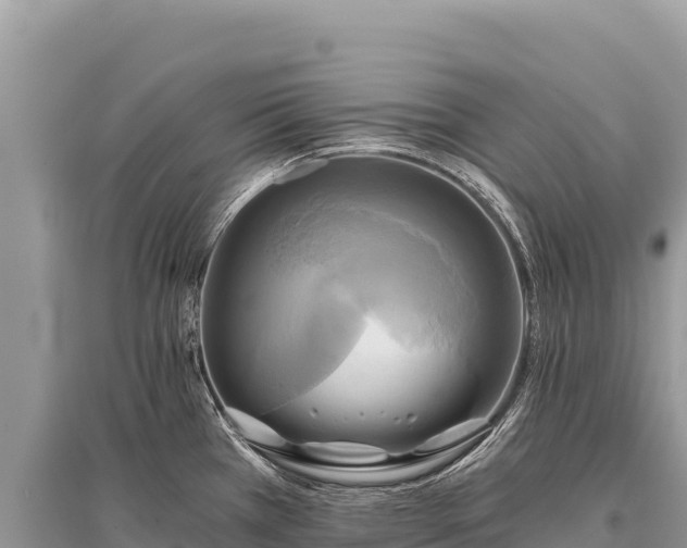 X0000096181385200801251205