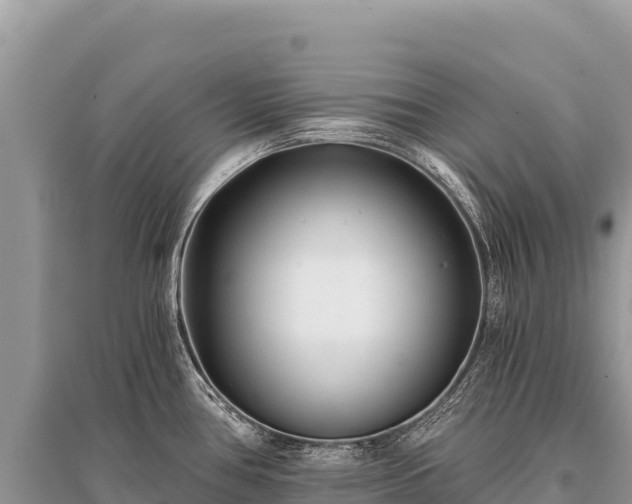 X0000096181386200801251205