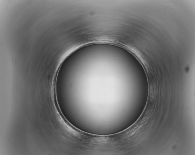 X0000096181387200801251205