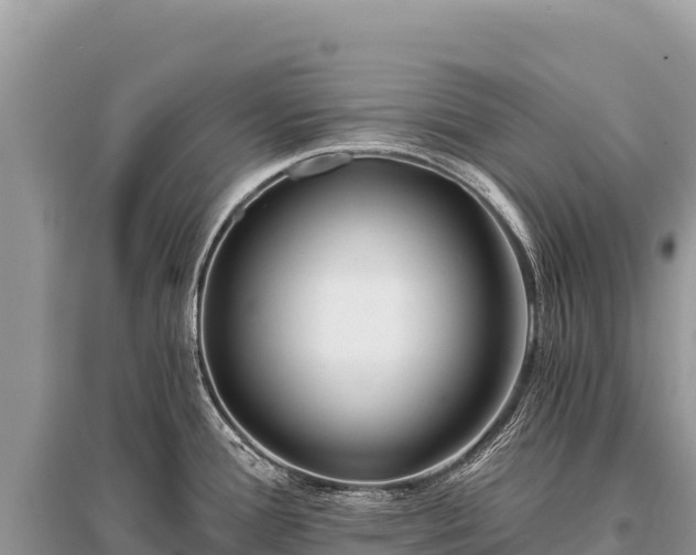 X0000096181388200801251205