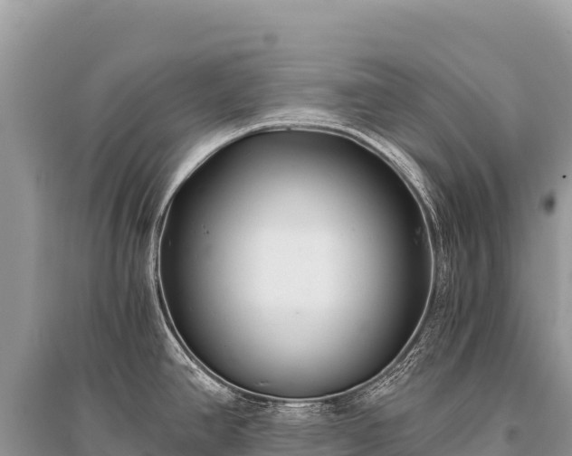 X0000096181390200801251205