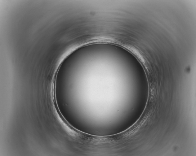 X0000096181391200801251205