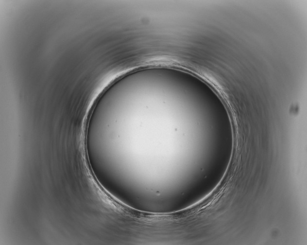 X0000096181392200801251205