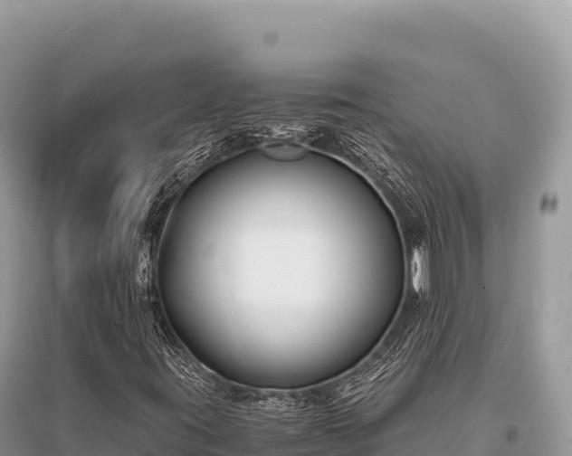 X0000096181395200801251204