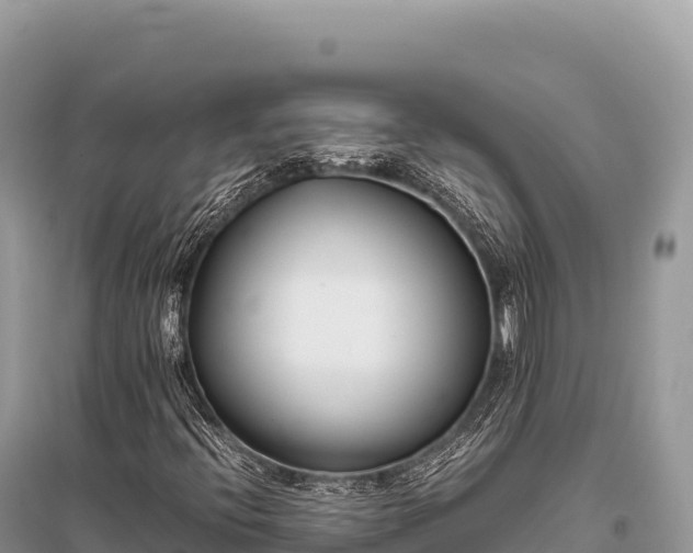 X0000096181396200801251204
