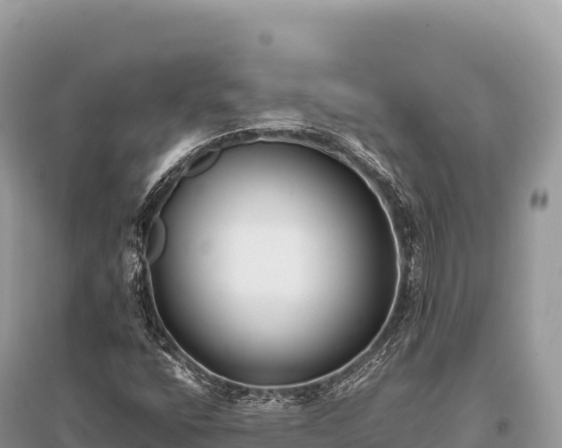 X0000096181400200801251204