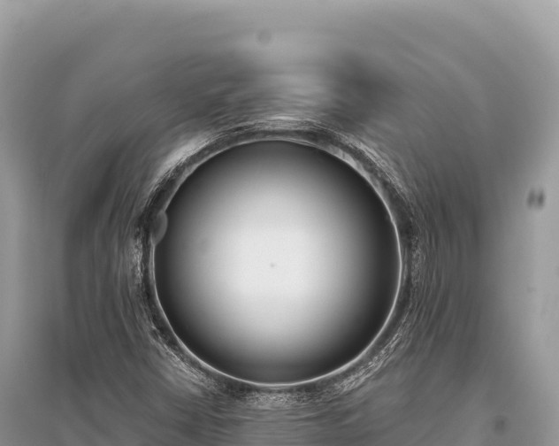 X0000096181402200801251204