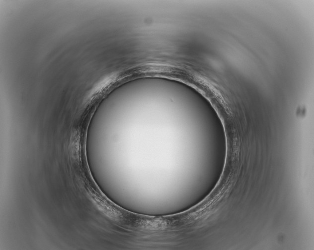 X0000096181403200801251204