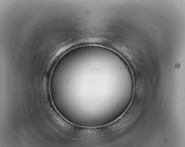 X0000096181404200801251204