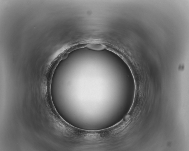 X0000096181406200801251204