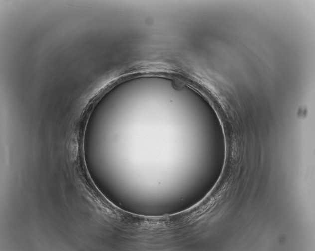 X0000096181407200801251205