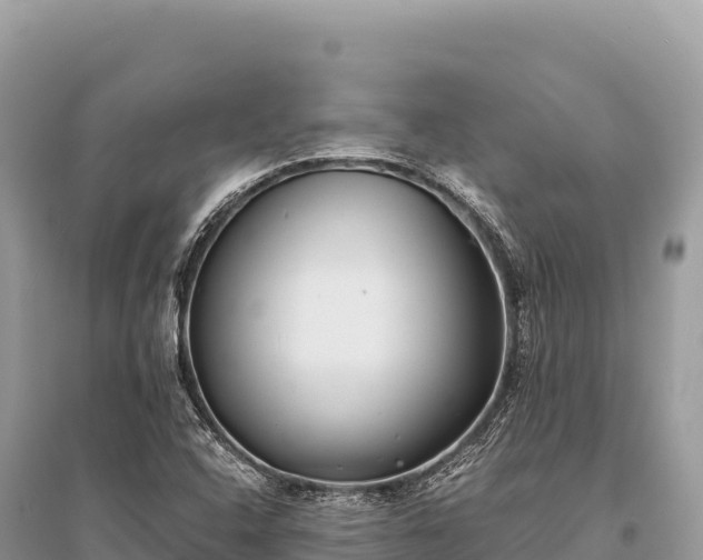 X0000096181408200801251205