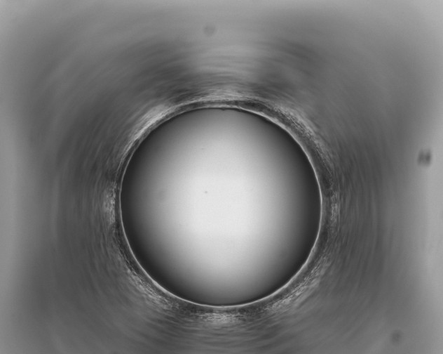 X0000096181409200801251205