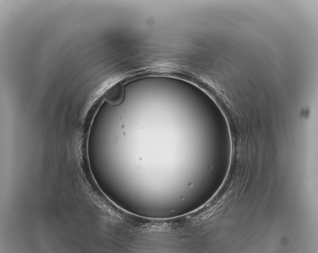 X0000096181410200801251205