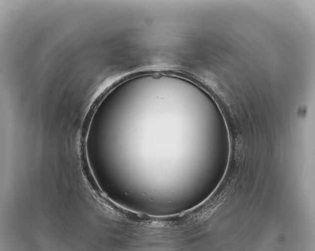 X0000096181412200801251205