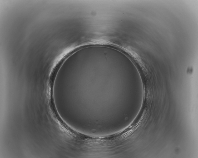 X0000096181414200801251205