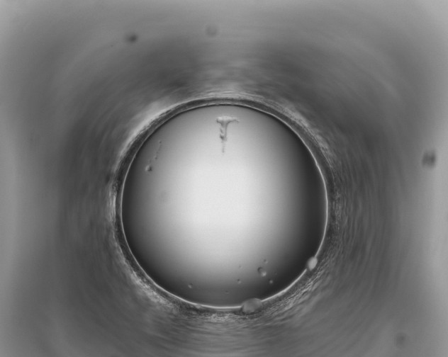 X0000096181416200801251205