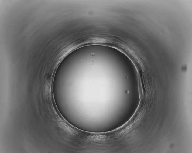 X0000096181417200801251205