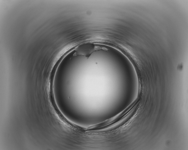 X0000096181418200801251205
