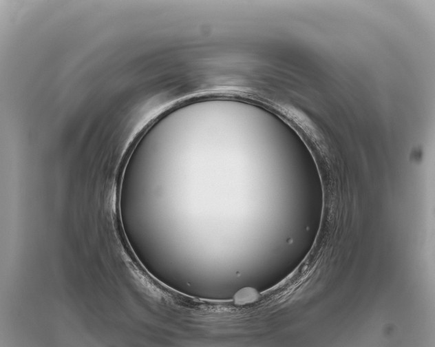 X0000096181420200801251205